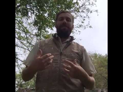 Ask-A-Painter #17: Kitchen Cabinets